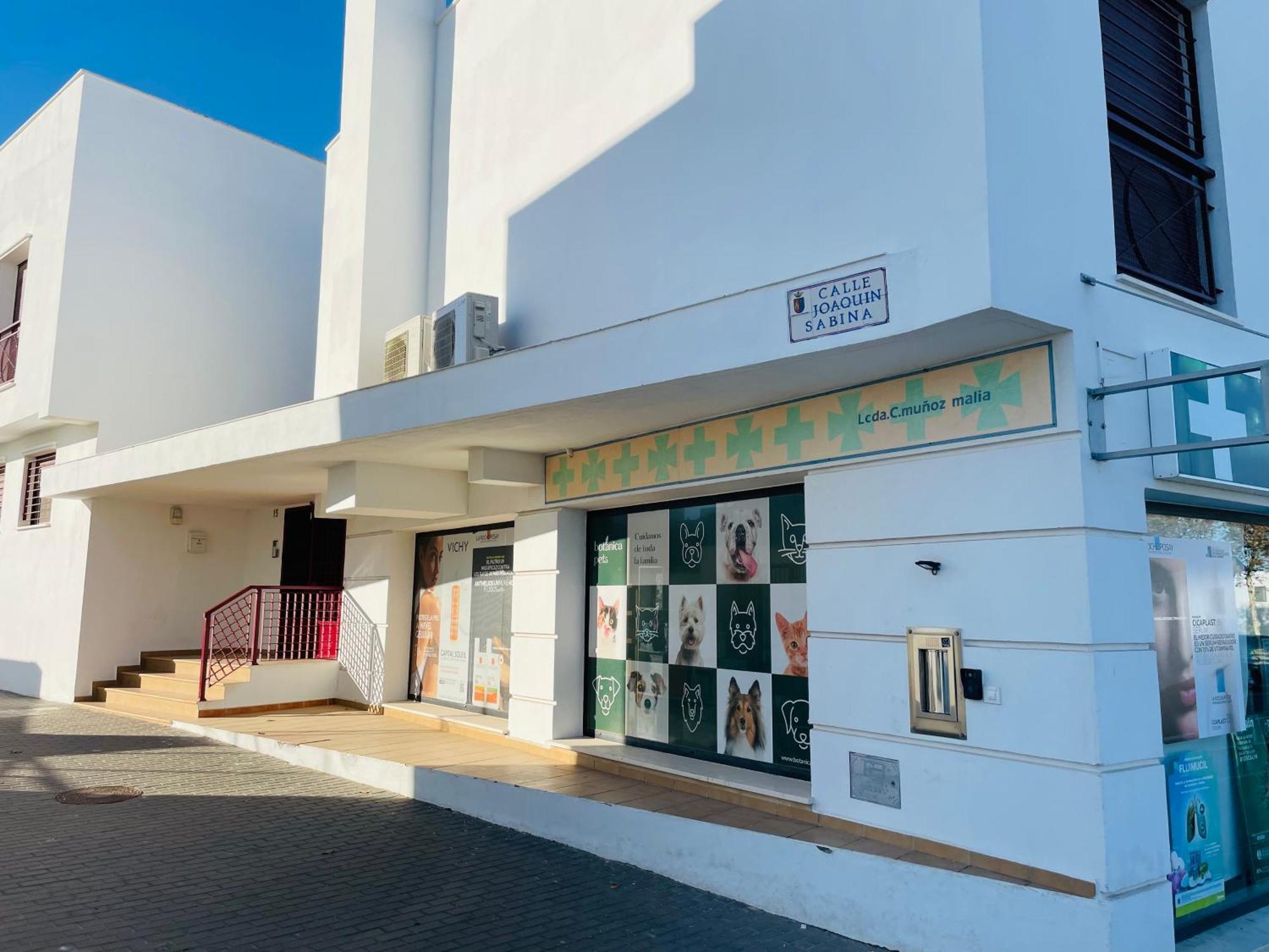 Atico Premium Conil Con 2 Terrazas, Parking, Piscina, Aire Ac Y Wifi -Solo Familias Y Parejas- Appartement Conil De La Frontera Buitenkant foto